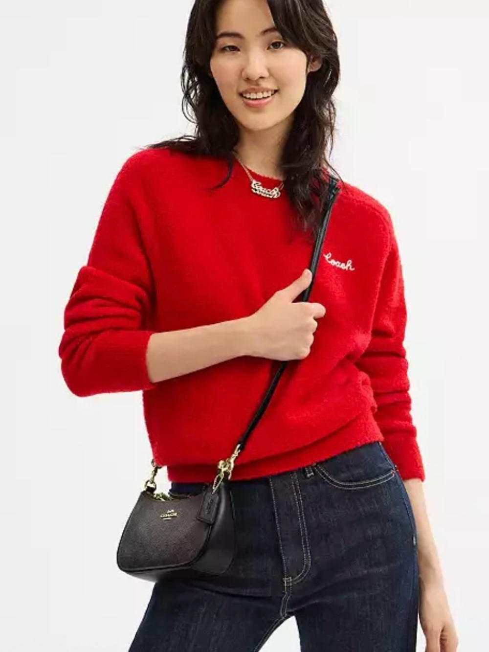Coach Teri mini signature Canvas Shoulder Bag in Black and Dark Brown crossbody - Picture 15 of 16